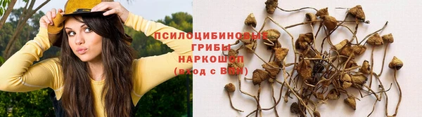 спиды Абдулино