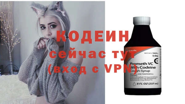 не бодяженный Новодвинск