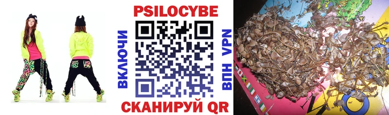 Псилоцибиновые грибы Psilocybine cubensis  Инта 